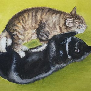 Watercolour pet portrait
